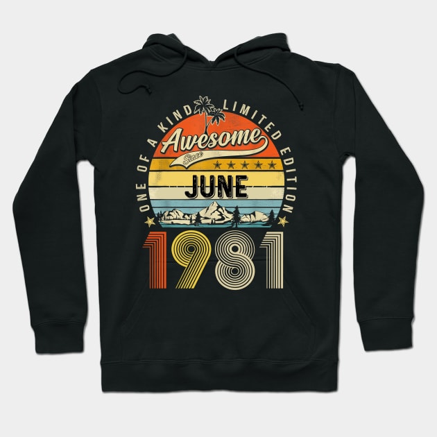 Awesome Since June 1981 Vintage 42nd Birthday Hoodie by Mhoon 